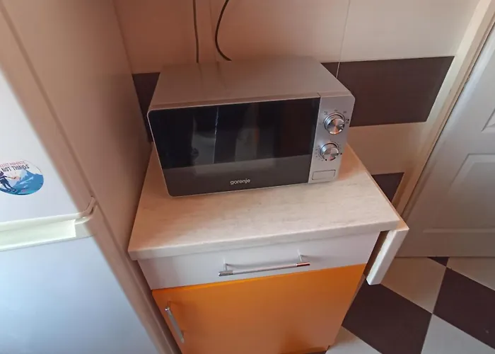 Nicole Magic Apartment- * Timişoara