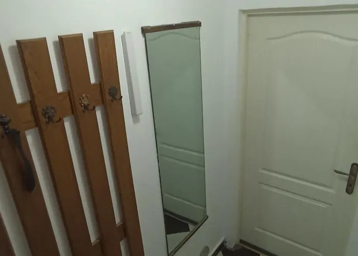 Nicole Magic Apartment- Timişoara